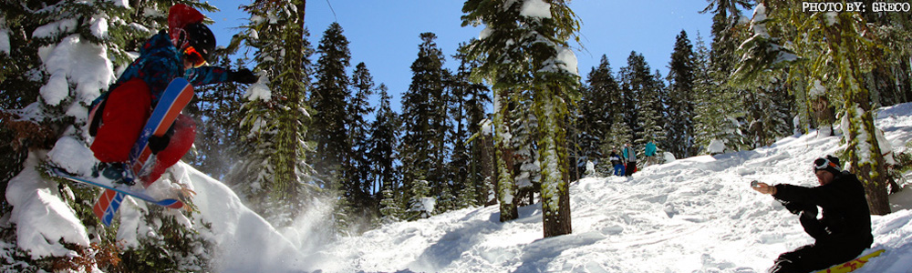 Skiboard Magazine - Keeping the dream alive and strong since 2002.
