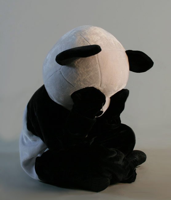 Panda Suit Panda Suit