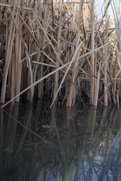 Dirty Water
