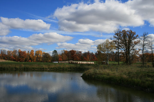 Fall on the Farm