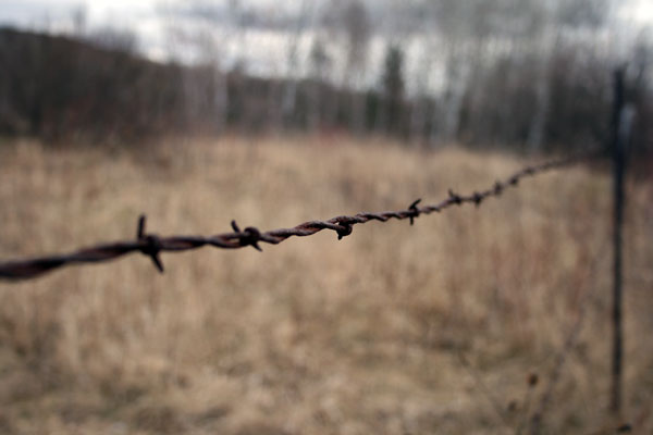 Barbed Wire Fence