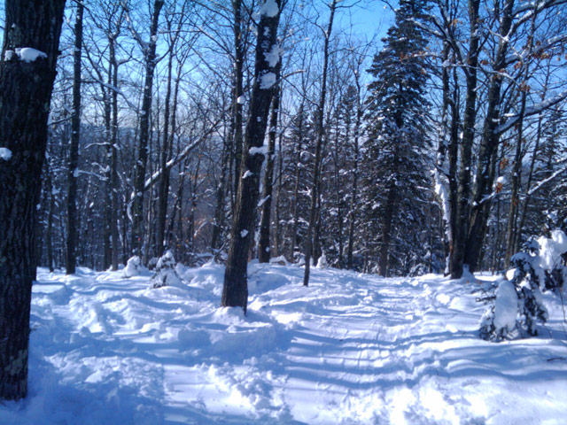 Giants Ridge, MN