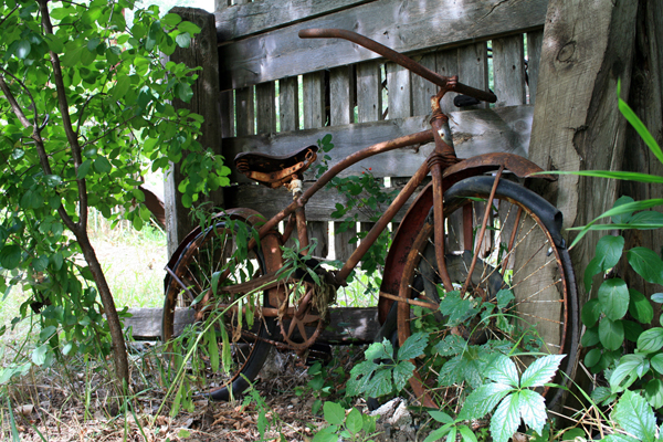 Rusty Bike