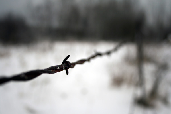 Barbed Wire