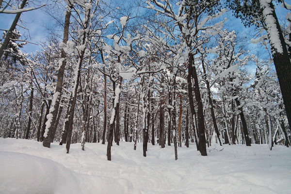 Mount Bohemia, MI