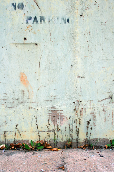 No Parking