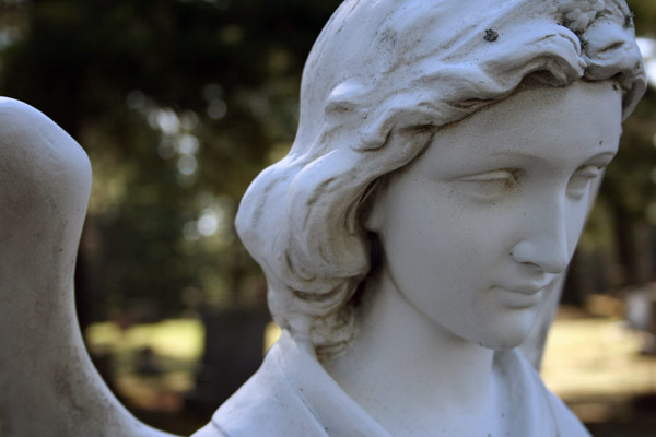 Angel in the Cemetery