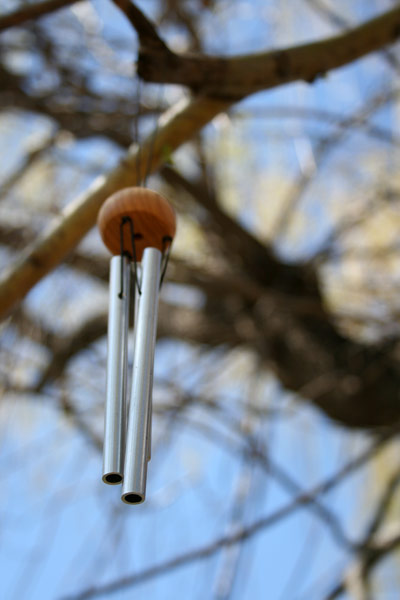Wind Chimes in the Willow Tree