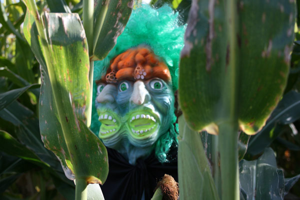 The Mask in the Corn Field