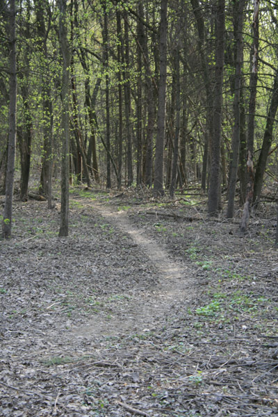 The little dirt path