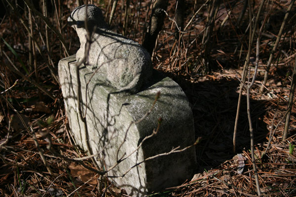The Lamb