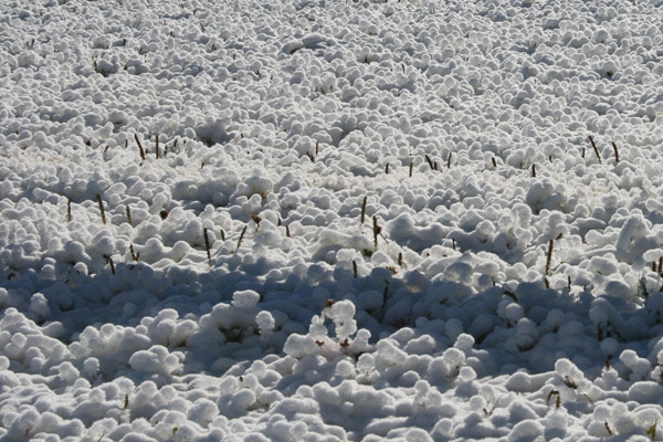 Man Made Snow Sunday October 31, 2010 at Wild Mountain