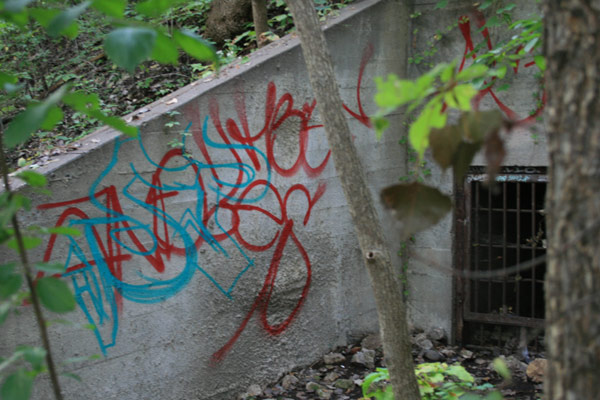Nature Meets Graffiti