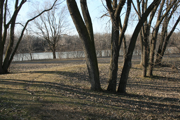 A path through the park