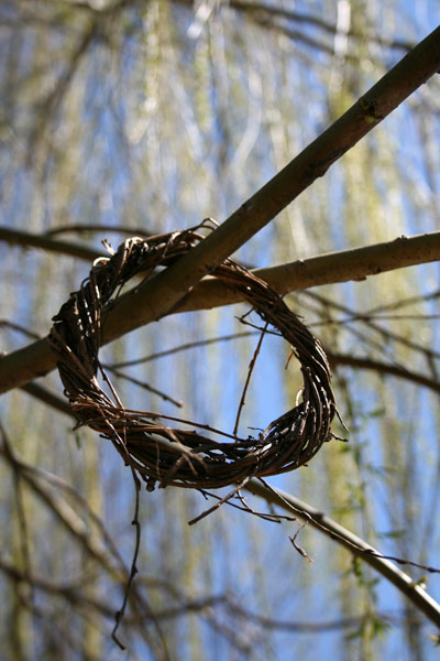 Ring of Twigs