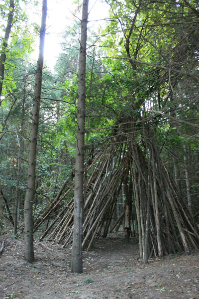 Tee Pee in the Woods