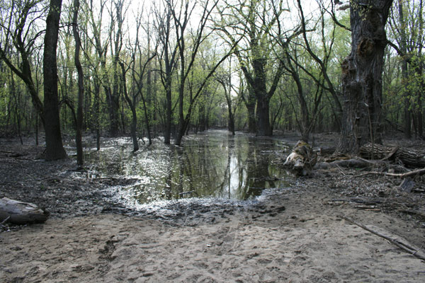 As the trail ends, the flood begins As the trail ends, the flood begins